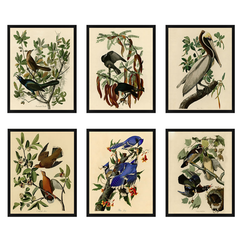 Red Barrel Studio® Audubon Framed 6 Pieces by James Audubon Print